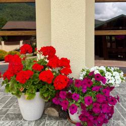 Фото Отель Вертикаль