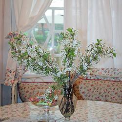 Фото Отель Вишневый Сад