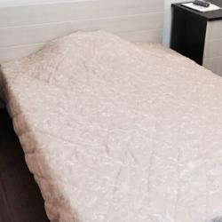 Фото Отель Омега