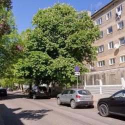 Апартаменты студия улица Чайковского, 10