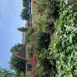 Фото Отель Город-Ок!