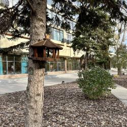 Каланча — fd2ad8019e7ecfe2da93284de59cdcec