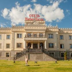 Фото Отель Nabat Palace Домодедово (Набат Палас)
