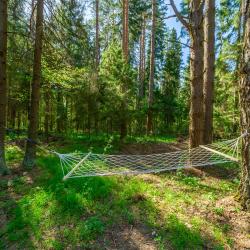 Фото Отель След Лося