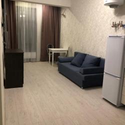 Фото Апартаменты Pluton Aparts в СНТ Агро