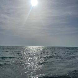 Фото Отель Семья