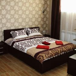 1-местный номер стандарт с 1 двуспальной кроватью