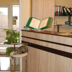 Фото Small Hotel (Смол Отель)