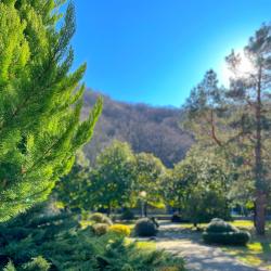 Фото Отель Сеть апартаментов Goodwill