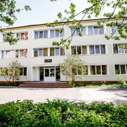 фото 2 Чайка