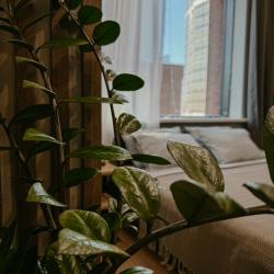 Апартаменты студия
