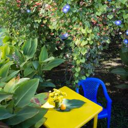 Фото Отель RusAmra (РусАмра)