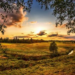 Фото поле-отель