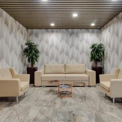 фото 6 Repino Cronwell Park Hotel (Репино Кронвелл Парк)