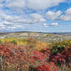 Фото Отель Villa Scandi (Вилла Сканди)