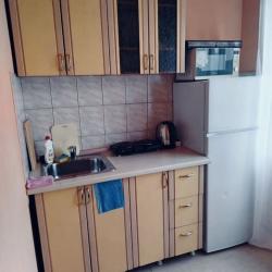 Фото Апартаменты на улице Мира 53