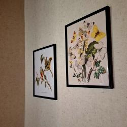 8-местный 3-комнатный коттедж в лесу №10