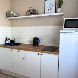 Фото Апартаменты на проспекте Красный 90