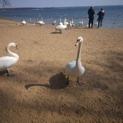 Фото Отель Саншале