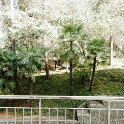 Фото Art Hotel (Арт Отель)