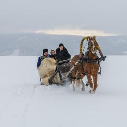 Фото Отель Золото Алтая
