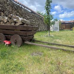 Фото Отель Восточная Пруссия