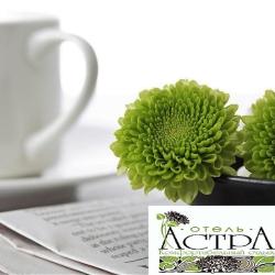 Фото Отель Астра