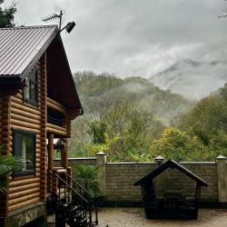 Фото Отель Лесное поместье