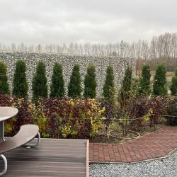 Коттедж премиум