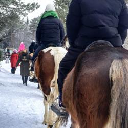 Фото Отель Дом Дракона в Яви-Нави