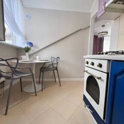 1-комнатные апартаменты улучшенные (мансарда)