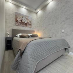 1-комнатные апартаменты улучшенные с 1 двуспальной кроватью