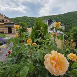 Фото Отель Abrau Soul&Spa(Абрау Соул&Спа)