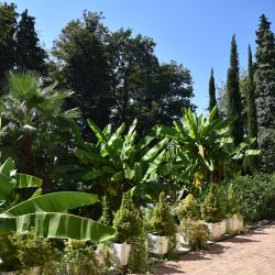 Романов — fe1e88eb9d9fd28c71165b7ddc287068