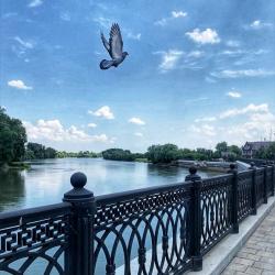 Фото Отель Галар Холл (Galar Hall)