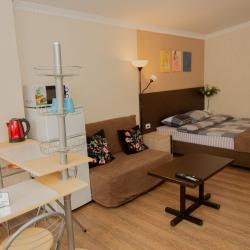 Комната люкс с 1 двуспальной кроватью