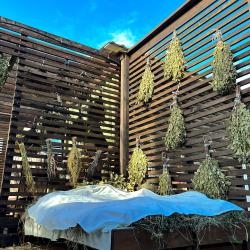 Фото BaikalWood Eco Hotel and Spa (Байкал Вуд Эко-отель и СПА)