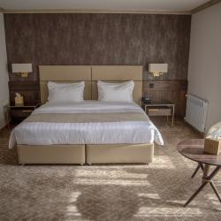 Фото Jermuk Hotel & SPA ( Отель и СПА)
