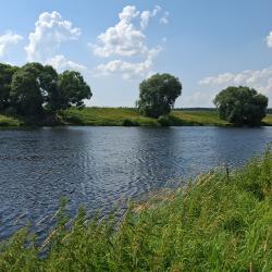 4-местный коттедж в лесу №9