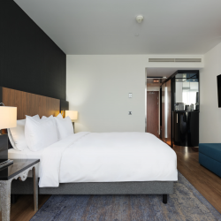 Фото Отель Radisson Blu Белорусская (Рэдиссон Блу)