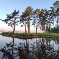 Фото Отель Сосновый бор