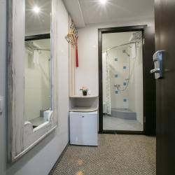 1-местный номер стандарт с 1 двуспальной кроватью