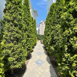 Фото Отель Дуэт