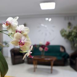 Фото Отель Чешский дом