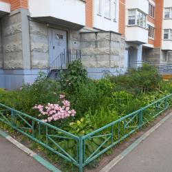 Фото Апартаменты на улице Струве 3 корп. 1