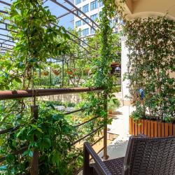 Грейс Наири — fe6d4f47e750ac0a64b5252151a39d58