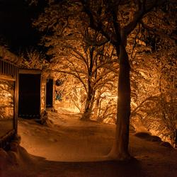 Фото Отель Уютные ёлы