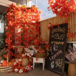 Фото Отель Vnukovo Village Hotel & SPA (Внуково Вилладж)