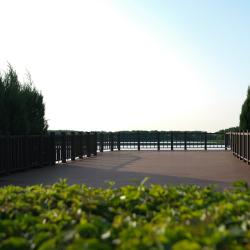 Фото Отель Усадьба Волжино