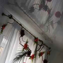 Фото Отель Астра